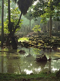 Personalized Oasis