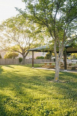 Lawncare
